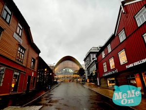 挪威 特羅姆瑟（Tromsø） 10