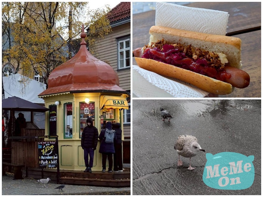 挪威 特羅姆瑟（Tromsø） 