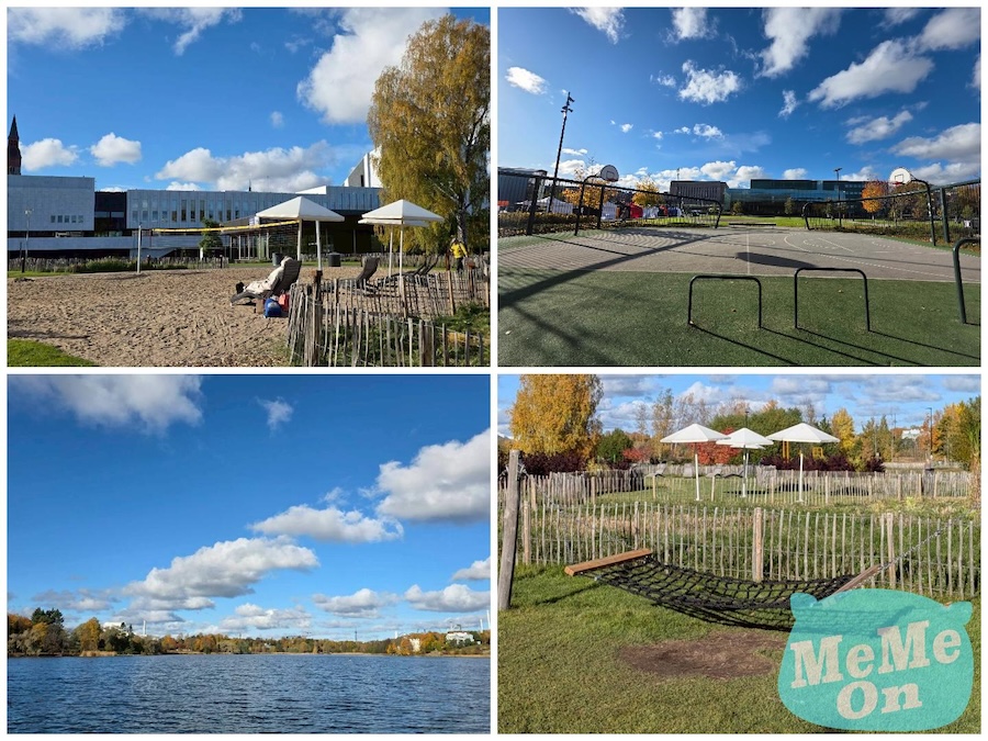 【赫爾辛基必遊】市區景點推薦:中央火車站、西貝流士公園、Oodi圖書館、芬蘭堡...全攻略! 4 芬蘭 赫爾辛基