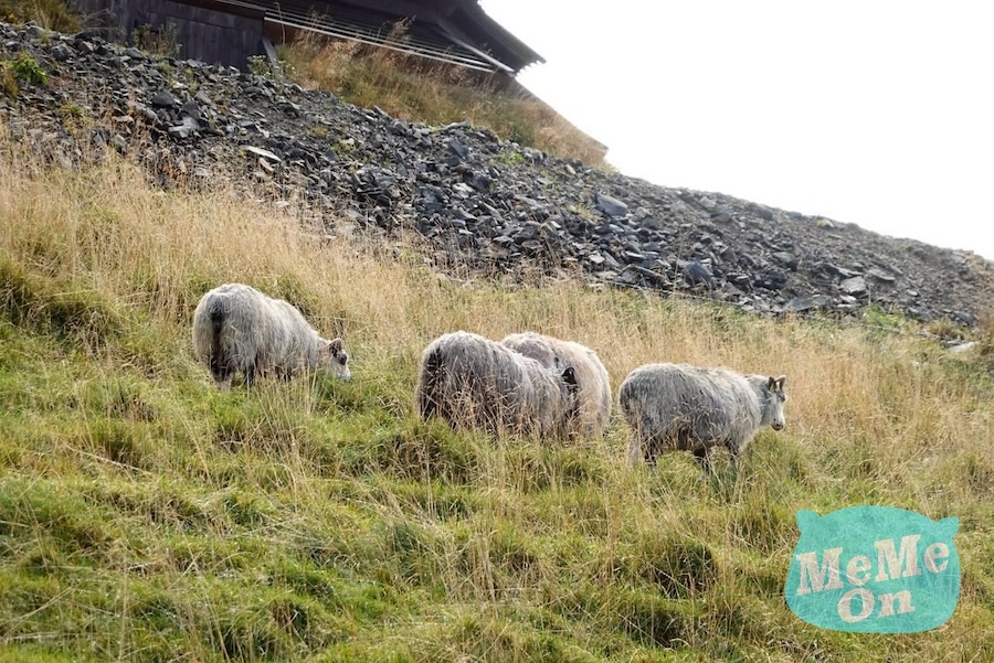 %E7%BE%85%E5%BC%97%E6%95%A6%E7%BE%A4%E5%B3%B6%EF%BC%88Lofoten%EF%BC%894