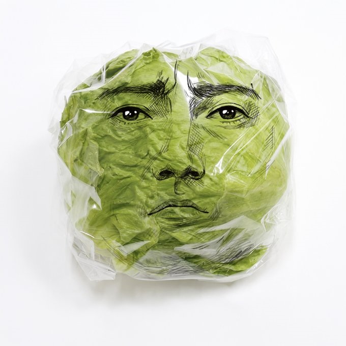 藤原龍也包裝萵苣